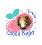ろろみ大好き（個別スタンプ：3）