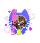ろろみ大好き（個別スタンプ：11）