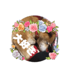 ろろみ大好き（個別スタンプ：15）