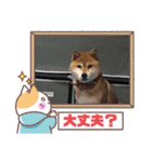 ろろみ大好き（個別スタンプ：17）