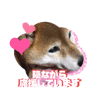 ろろみ大好き（個別スタンプ：18）