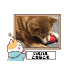 ろろみ大好き（個別スタンプ：21）