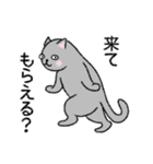 ぼうのねこ（個別スタンプ：4）