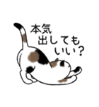 ぼうのねこ（個別スタンプ：10）