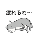 ぼうのねこ（個別スタンプ：14）