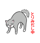 ぼうのねこ（個別スタンプ：20）