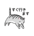 ぼうのねこ（個別スタンプ：21）