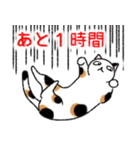 ぼうのねこ（個別スタンプ：22）