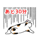 ぼうのねこ（個別スタンプ：23）