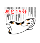 ぼうのねこ（個別スタンプ：24）