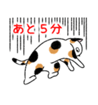 ぼうのねこ（個別スタンプ：26）