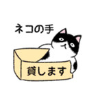 ぼうのねこ（個別スタンプ：29）