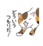 ぼうのねこ（個別スタンプ：33）