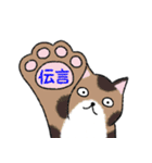 ぼうのねこ（個別スタンプ：34）