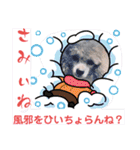 西諸弁 諸県弁②宮崎県の方言 むじぃわんこ（個別スタンプ：3）