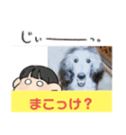 西諸弁 諸県弁②宮崎県の方言 むじぃわんこ（個別スタンプ：27）