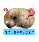 西諸弁 諸県弁②宮崎県の方言 むじぃわんこ（個別スタンプ：28）