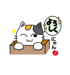 短足三毛猫のにゃん語スタンプ（個別スタンプ：6）