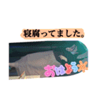 さあぽんのスタンプ！（個別スタンプ：30）
