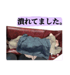 さあぽんのスタンプ！（個別スタンプ：31）