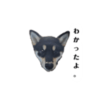 桃スタンプ。（個別スタンプ：1）