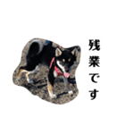 桃スタンプ。（個別スタンプ：7）