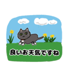 きよ子の猫ちゃんスタンプ (日本語と英語)（個別スタンプ：5）