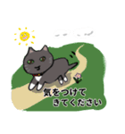 きよ子の猫ちゃんスタンプ (日本語と英語)（個別スタンプ：6）