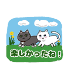 きよ子の猫ちゃんスタンプ (日本語と英語)（個別スタンプ：7）