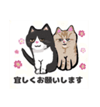 きよ子の猫ちゃんスタンプ (日本語と英語)（個別スタンプ：14）