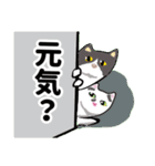 きよ子の猫ちゃんスタンプ (日本語と英語)（個別スタンプ：24）