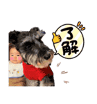 三木家の日常。（個別スタンプ：16）