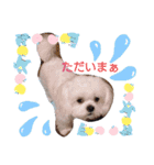 ぺキビジョンきりたん（個別スタンプ：7）