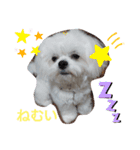 ぺキビジョンきりたん（個別スタンプ：9）