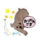 ぺキビジョンきりたん（個別スタンプ：10）