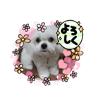 ぺキビジョンきりたん（個別スタンプ：14）