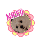 ぺキビジョンきりたん（個別スタンプ：16）