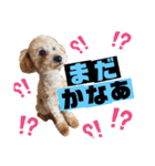 Lilly❤︎（個別スタンプ：3）