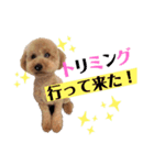 Lilly❤︎（個別スタンプ：5）