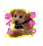 Lilly❤︎（個別スタンプ：7）