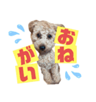 Lilly❤︎（個別スタンプ：9）