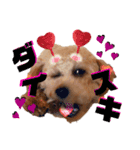Lilly❤︎（個別スタンプ：10）