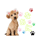 Lilly❤︎（個別スタンプ：11）