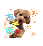 Lilly❤︎（個別スタンプ：13）