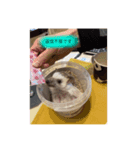 ハリネズミのトミー（個別スタンプ：3）