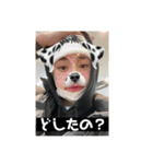 かむさはむにだ、（個別スタンプ：5）