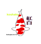 2023国魚の祭典NO3 国魚編（個別スタンプ：4）