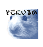 キンクマのもち様 vol.5（個別スタンプ：12）