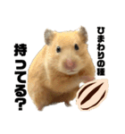 キンクマのもち様 vol.5（個別スタンプ：17）