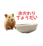 キンクマのもち様 vol.5（個別スタンプ：18）